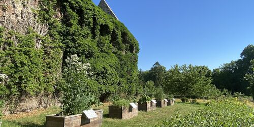 Klostergarten mit Hochbeeten, Foto: Elisabeth Kluge, Lizenz: Tourist-Information Zehdenick