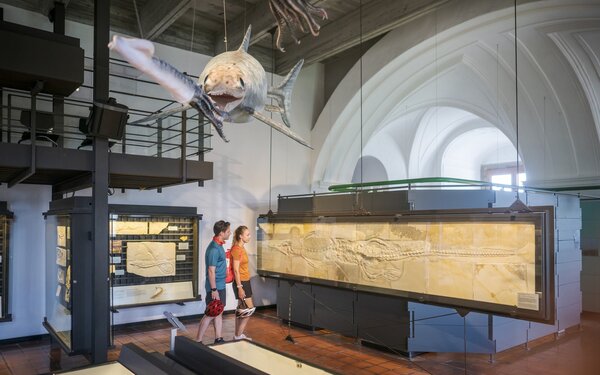 Fossilien im Jura-Museum Eichstätt, Foto: Naturpark-Altmühltal
