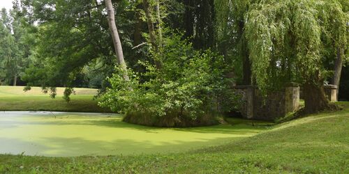 Gutspark Lindenberg, Foto: , Foto: Sandra Haß, Lizenz: Seenland Oder-Spree