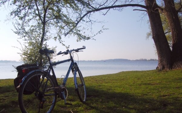 Havelradweg bei Ketzin, Foto: TMB-Fotoarchiv