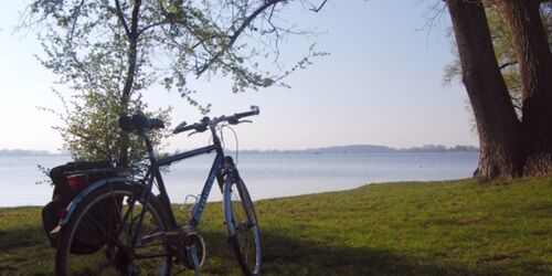 Durch Obstgärten und Vogelparadiese in Werder (Havel)