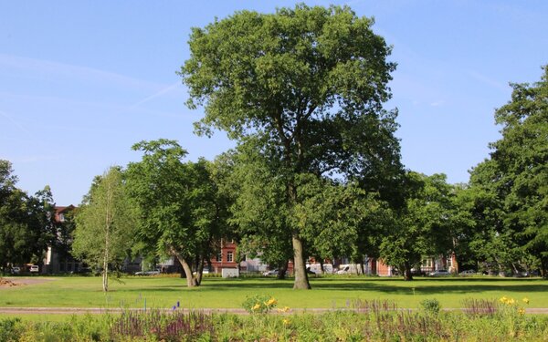 Goethepark, Foto: Landesgartenschau Burg 2018 GmbH