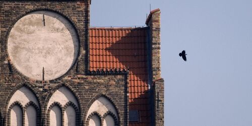 Torvogel Andreas Günther, Geschichtswerkstatt Rostock