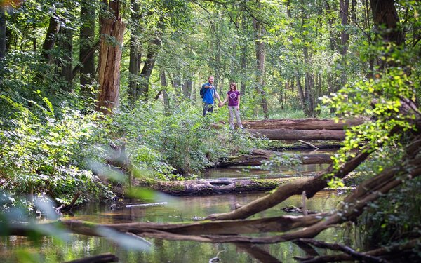 Naturparkroute Märkische Schweiz, Foto: Florian Läufer, Tourismusverband Seenland Oder-Spree