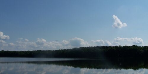 Todnitzsee, Foto: Dana Klaus, Lizenz:  Tourismusverband Dahme-Seenland e.V.