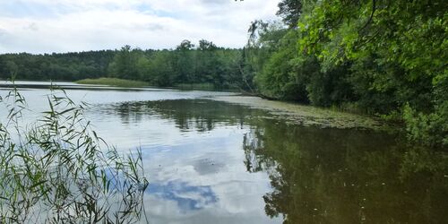 Todnitzsee, Foto: Dana Klaus, Lizenz:  Tourismusverband Dahme-Seenland e.V.