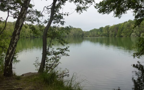 Großer Tonteich, Foto: Petra Förster, Lizenz: Tourismusverband Dahme-Seenland e.V.