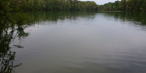 Großer Tonteich, Foto: Petra Förster, Lizenz: Tourismusverband Dahme-Seenland e.V.