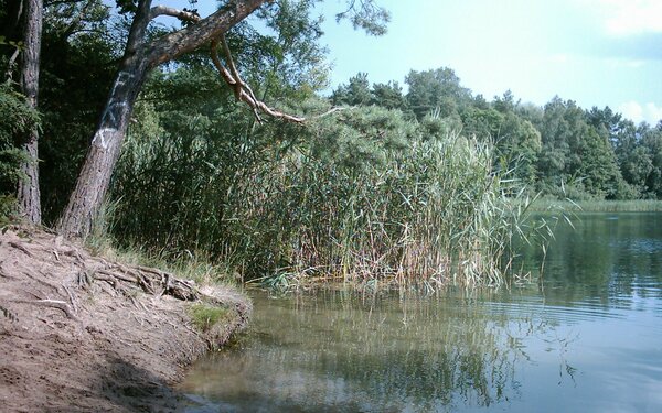 Kleiner Tonteich, Foto: Petra Förster, Lizenz: Tourismusverband Dahme-Seenland e.V.