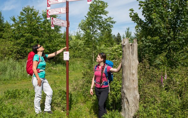 Wandern um Melle, Foto: Klaus Herzmann