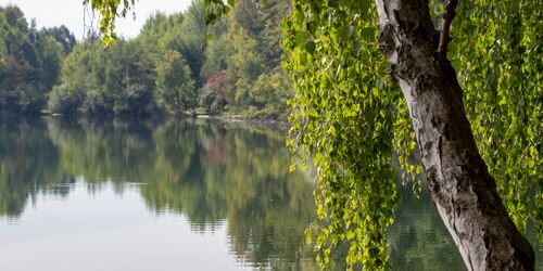 Kleiner Tonteich, Foto: Rohrberg & Steyer, Lizenz: ScottyScout