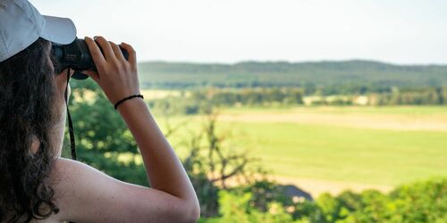 Ausblick Falkenberg von der Carlsburg, Foto: Seenland Oder-Spree / Florian Läufer