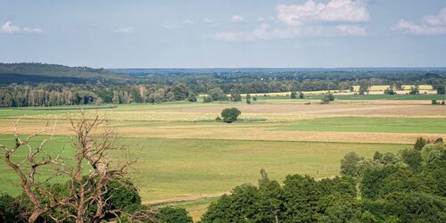 Ausblick Falkenberg von der Carlsburg, Foto: Seenland Oder-Spree / Florian Läufer