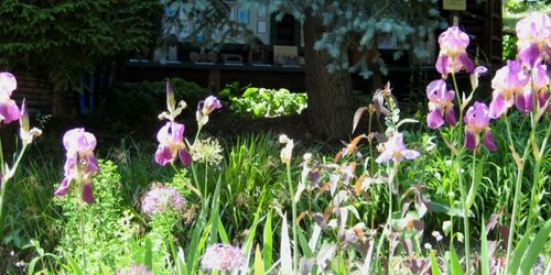 Schau- und Lehrgarten "Haus der Naturpflege", Foto: Haus der Naturpflege