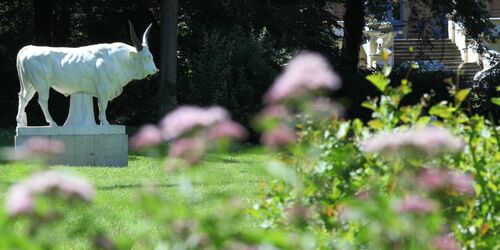 Kurpark Bad Freienwalde, Foto: Steffen Herre