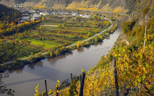 Weinberge, Mosel, Foto: Tama66/pixabay.com