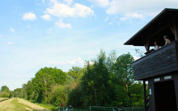 Aussichtsturm Dümmer Südufer, Foto: TID