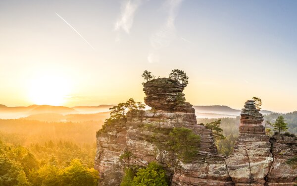 Sonnenaufgang am Laemmerfelsen, Foto: Dominik Ketz, Pfalz Touristik CC-BY-SA