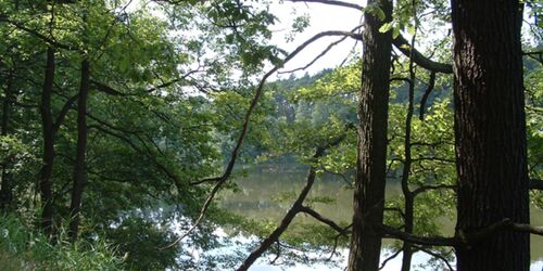 Großer Tonteich, Foto: Petra Förster, Lizenz: Tourismusverband Dahme-Seenland e.V.