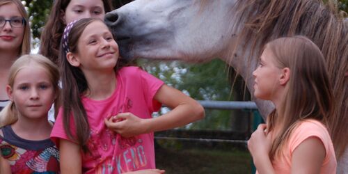 Pferde und Kinder interagieren auf dem Camargue-Pferde-Hof Wesendahl, Foto: Camargue-Pferde-Hof Wesendahl