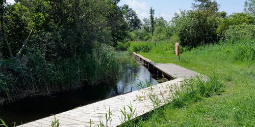 Wasserwanderrastplatz Pantlitz, Foto: Tourismusverein Vogelparkregion Recknitztal e.V.