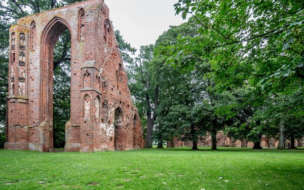 Klosterruine Eldena tmv/kraus