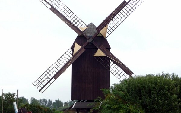 Windmühle Eldena Sabrina Wittkopf-Schade