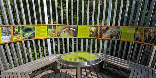 Baumwipfelpfad Saarschleife, Foto: Manuela Meyer, CC BY-SA