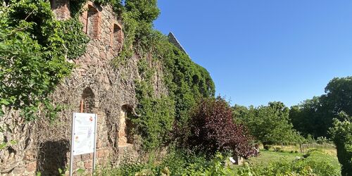 Klostergarten, Foto: Elisabeth Kluge, Lizenz: Tourist-Information Zehdenick