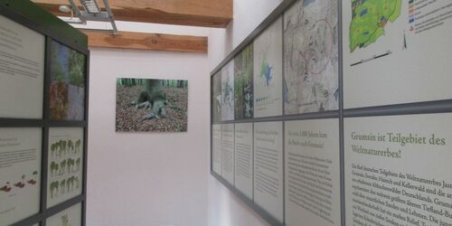 Ausstellung Infopunkt Grumsin Tafeln, Foto: Anet Hoppe, Lizenz: Anet Hoppe