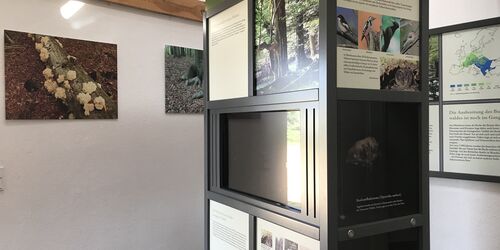 Ausstellung Infopunkt Grumsin, Foto: Anet Hoppe, Lizenz: Anet Hoppe