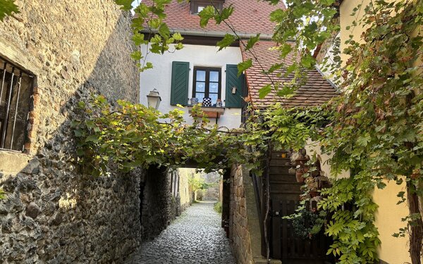 Stadtmauerrundgang -Wohnhaus, Freinsheim , Foto: Urlaubsregion Freinsheim CC-BY-SA; Braun