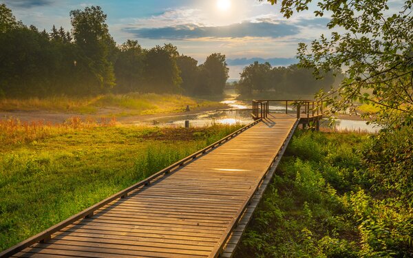 Donauursprung, Sonnenaufgang im Sommer, Foto: Stadt Donaueschingen, Tobias Raphael Ackermann