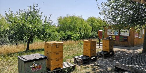 Bienenschule Naturerlebnis Uckermark, Foto: Merith Sommer, Lizenz: tmu GmbH