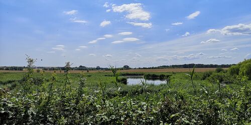Aussicht vom Vogelbeobachtungshaus Naturerlebnis Uckermark, Foto: Merith Sommer, Lizenz: tmu GmbH
