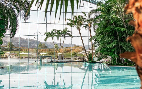 Palmenoase, Foto: Badeparadies Schwarzwald