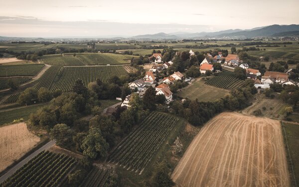 Weingut Rieger, Foto: Luftbild Betberg, Enrico Merazzi