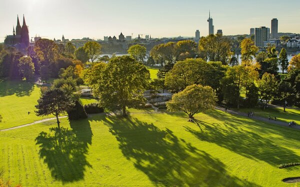 Rheinpark, Foto: Valdas Miskinis, Pixabay.com