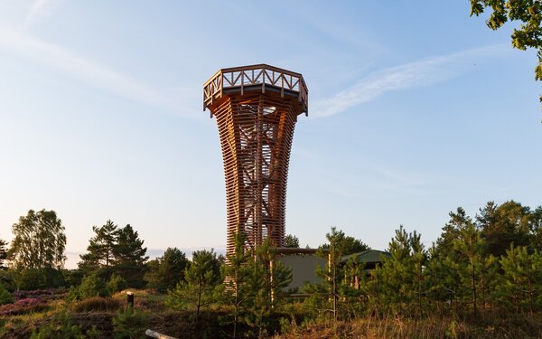 Heidelandschaft mit Heideturm, Foto: Steffen Lehmann, Lizenz: TMB Tourismus-Marketing Brandenburg