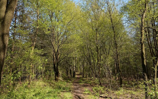 Gudendorf, Landschaftsschutzgebiet, Foto: Nightflyer, CC BY 4.0, https://commons.wikimedia.org