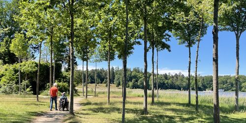 Mit dem Rollstuhl im Schlosspark Rheinsberg, Foto: Kerstin Lehmann, Lizenz: TMB-Fotoarchiv
