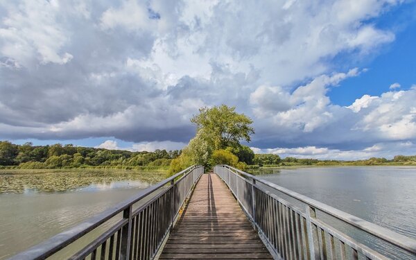 Reinfeld, Herrenteich, Steg, Foto: D. Topp