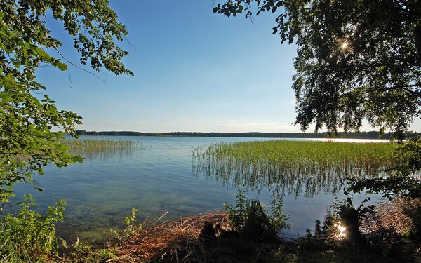 Am Parsteiner See, Foto: Ralf Roletschek, GFDL 1.2, https://commons.wikimedia.org