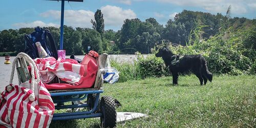 Mit Bollerwagen am Lehnitzsee, Foto: Thomas Ahrens / TKO gGmbH, Lizenz: TKO gGmbH