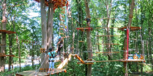 Übersicht Kletterwald, Foto: Michael Schicha