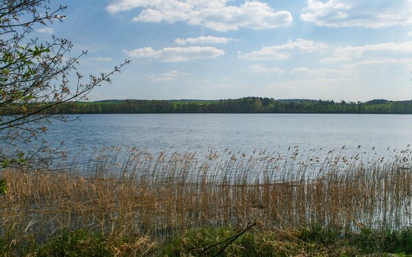 Wolletzsee, Foto: Daniela Kloth, GFDL 1.2, https://commons.wikimedia.org