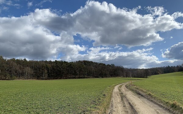 Kutschenberg, Foto: Invexis, CC BY-SA 4.0, https://commons.wikimedia.org