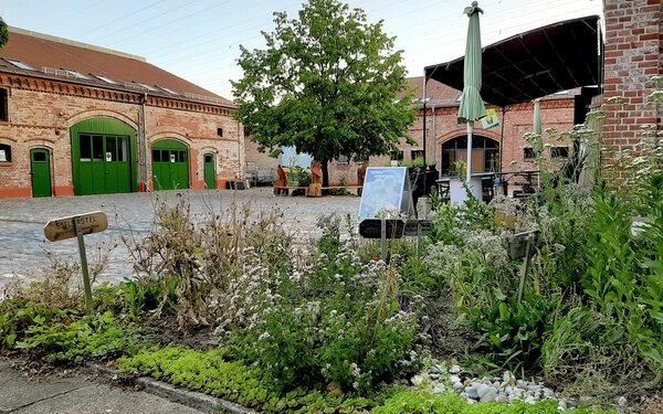 Naturhof Malchow, Foto: Beate Kitzmann/Naturschutz Berlin-Malchow e.V.
