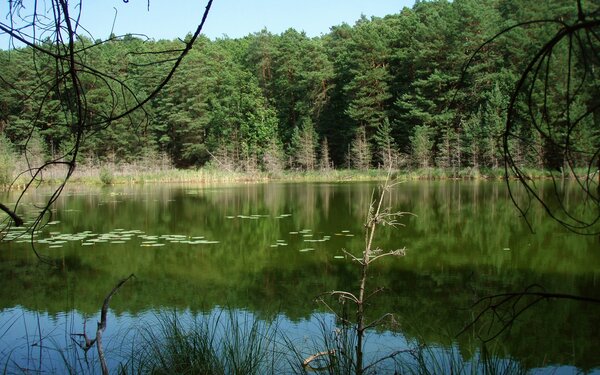 Teufelssee, Foto: Botaurus stellaris, CC0, https://commons.wikimedia.org