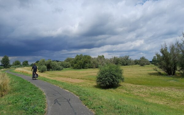 Auf dem Oder-Neiße-Radweg, Foto: JakobHosp, CC BY 4.0, https://commons.wikimedia.org